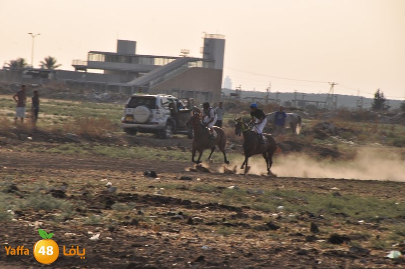 kheil sebaq (15).JPG